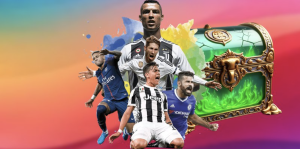 7M Terms of Service and Operational Orientation