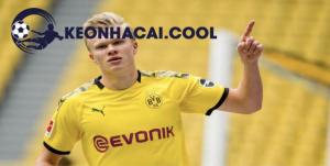 Accurate betting predictions and match analysis