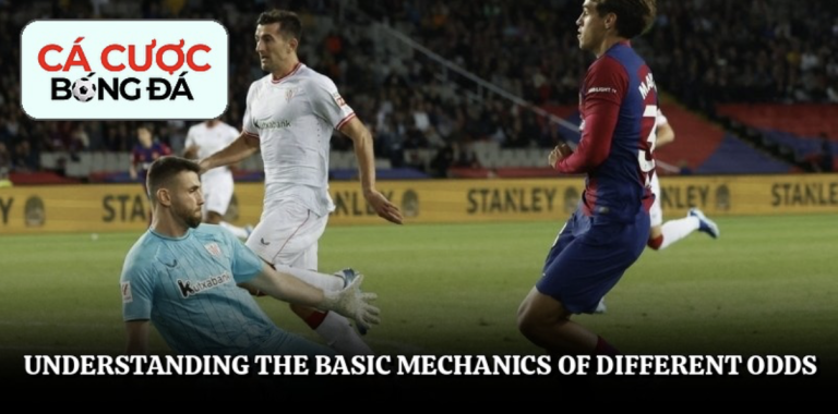 Odds - Why Mastering The Numbers Is Your Key To Success