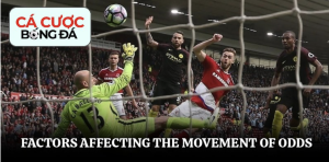 Factors affecting the movement of odds