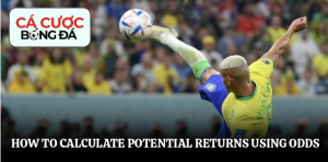 How to calculate potential returns using odds